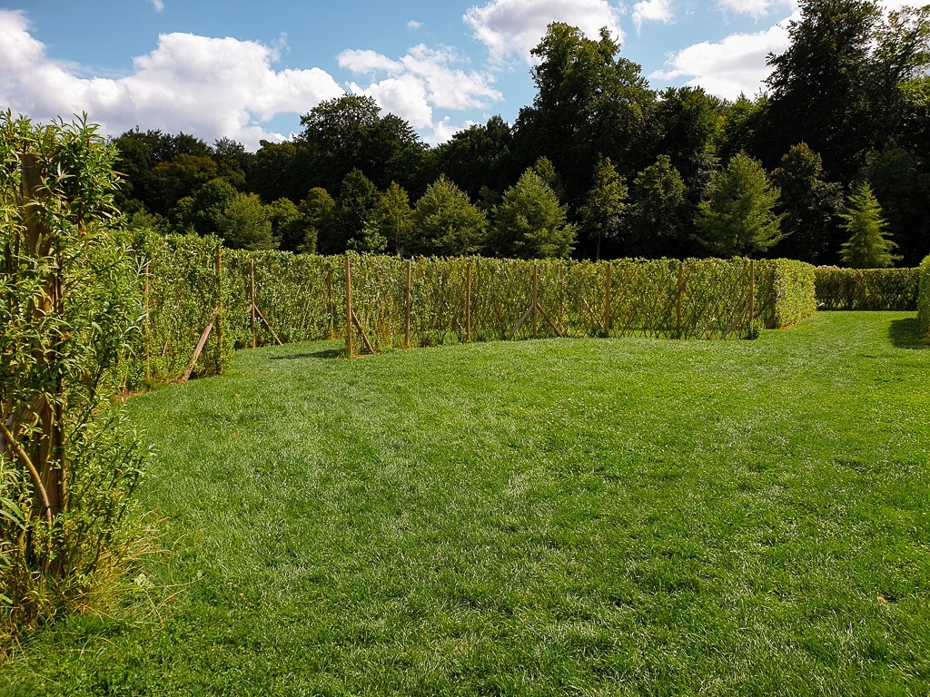 Labyrinthe domaine de Chantilly