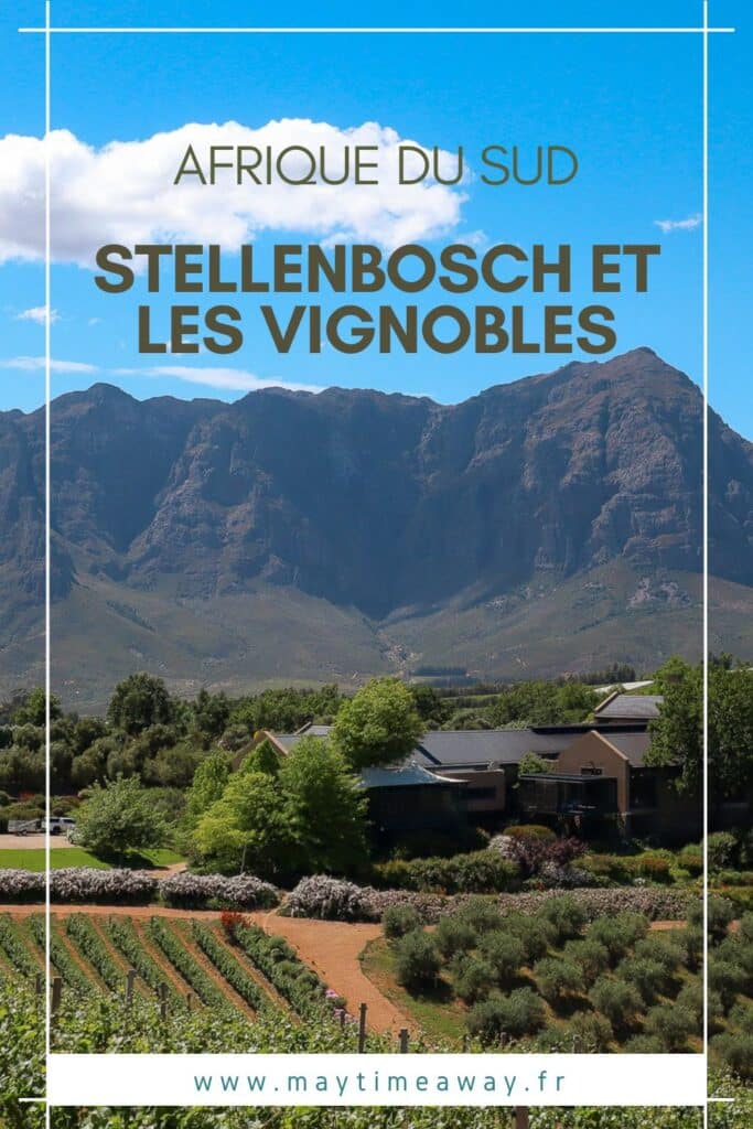 Visiter la région des vignobles en Afrique du Sud : de Stellenbosch à Franschhoek et Paarl