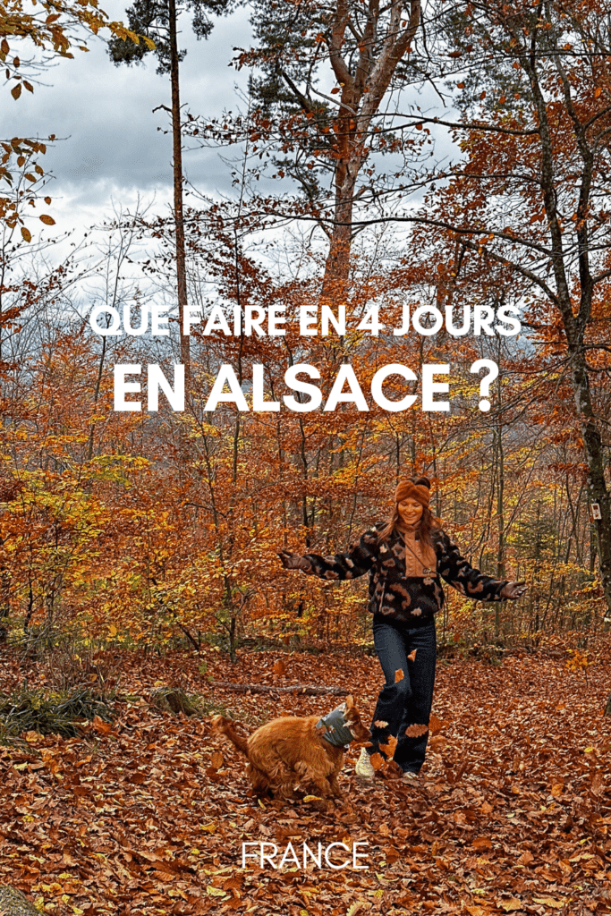 Que faire en 4 jours en Alsace ? 