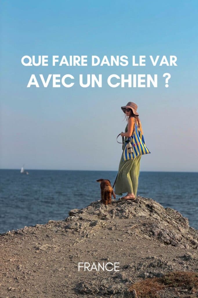 Que faire a Sanary et Six-Fours avec un chien ? Mes bonnes adresses dog-friendly dans le var