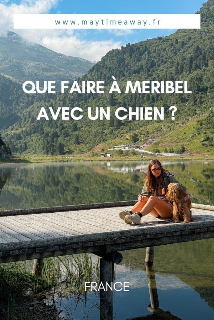 Que faire à Méribel en été avec un chien : conseils et bonnes adresses